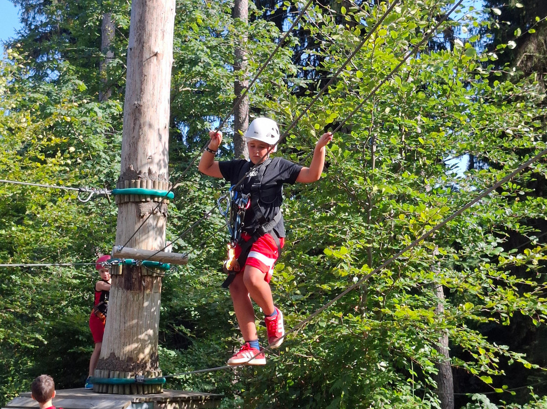 Jungle Raider Park-Civenna必去景点