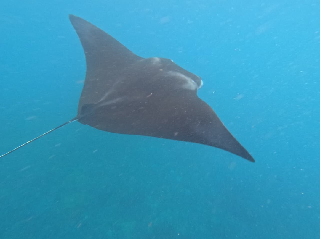 Bali Candidasa Tour-甘地达萨必去景点