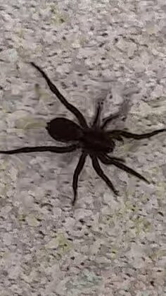 Chevys Gaming Lounge-Kewanee必去景点