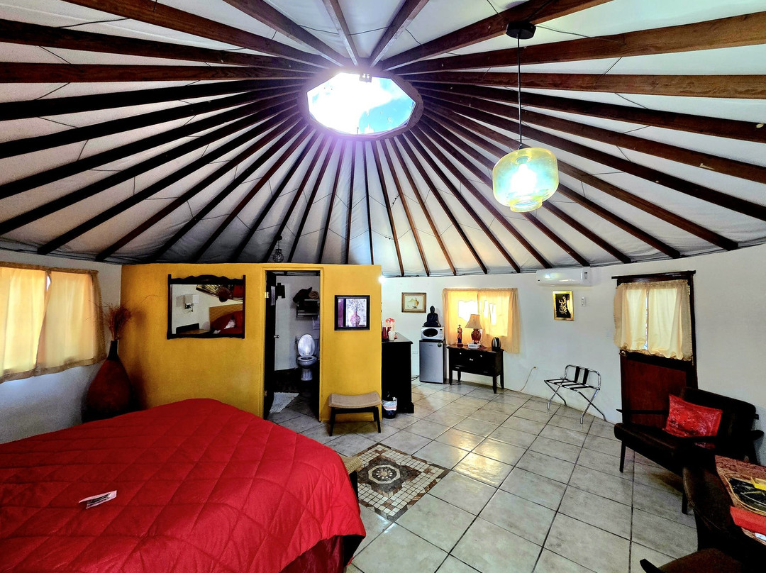 Ignacio Springs Bed & Breakfast主图