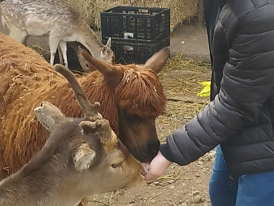 Huellitas por un sueño-Isla de Maipo必去景点