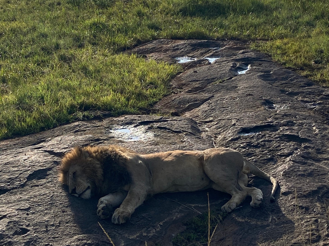 Voluntours Adventures-Kikuyu必去景点