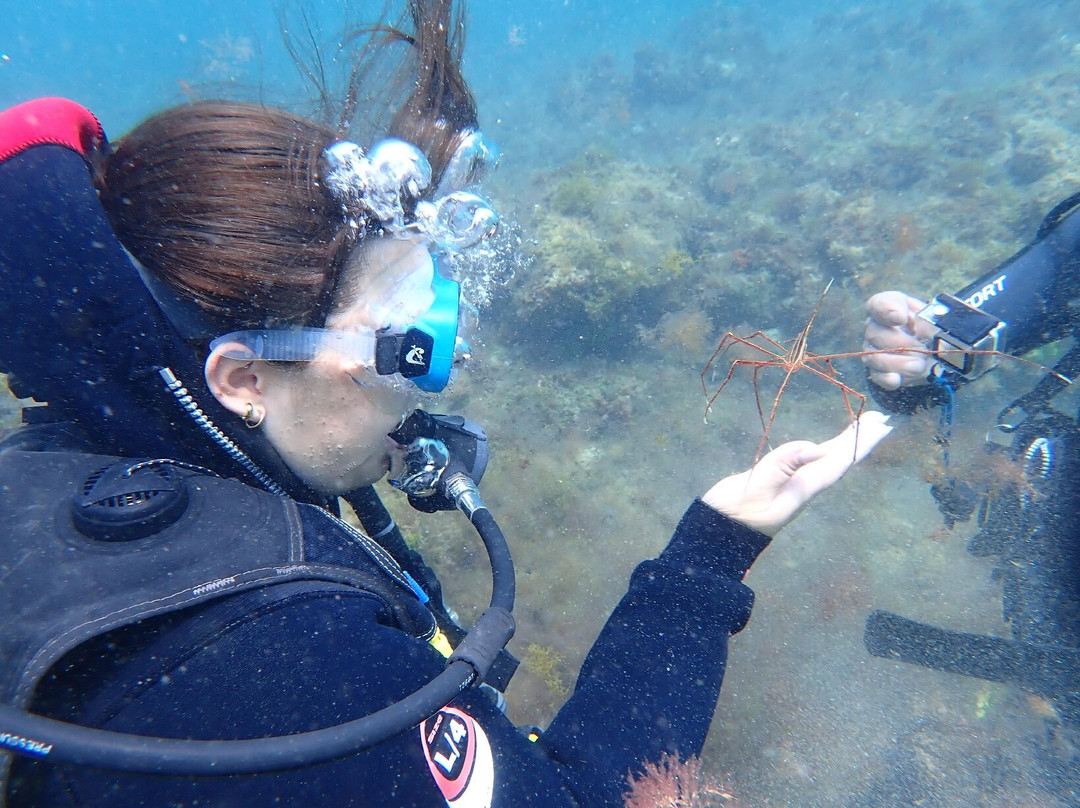 Dive Inn-Villaverde必去景点