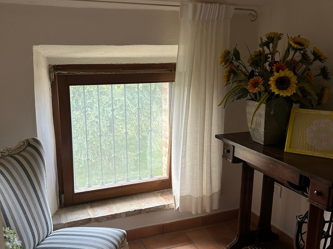Il Gallo del Vicino Bed & Breakfast主图