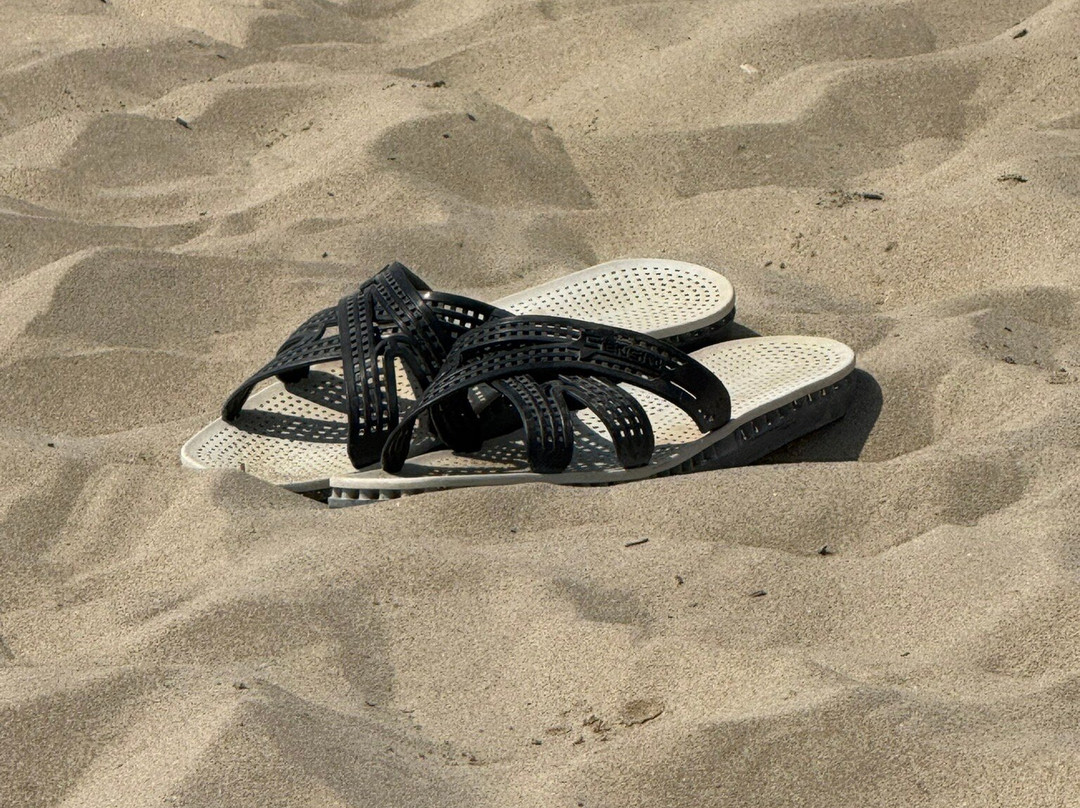 Hotel International主图