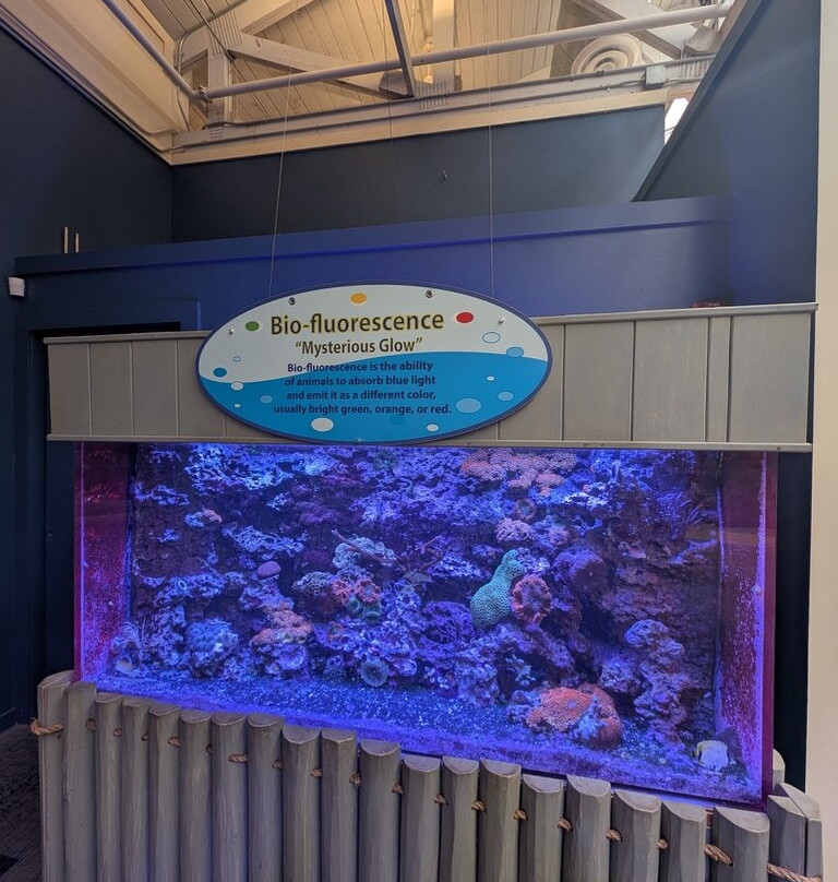 Marine Science Center-Ponce Inlet必去景点