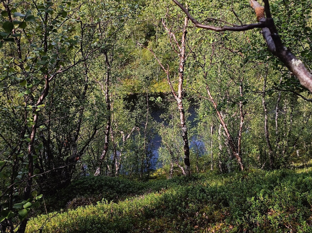 Sulaoja Luontopolku-Karigasniemi必去景点