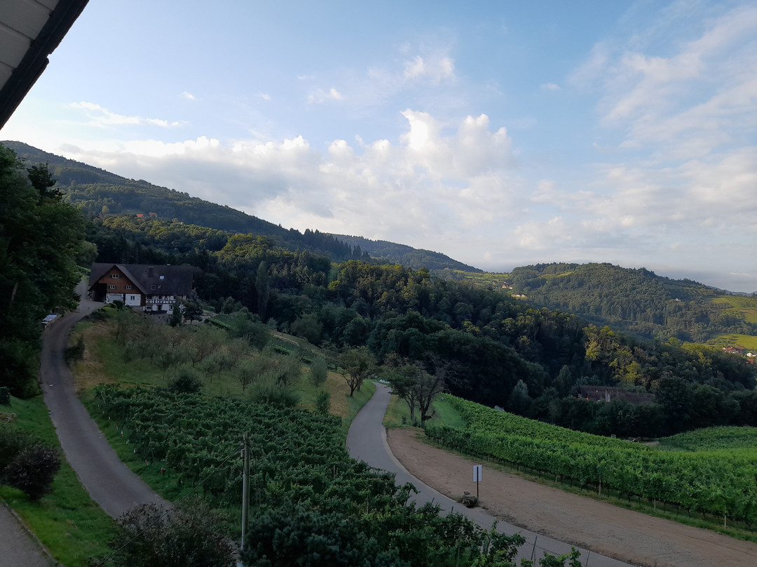 RelaxHotel Tannenhof主图