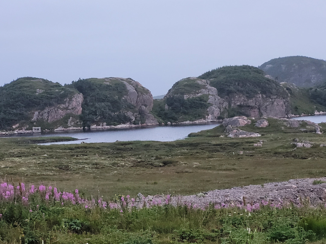 Ramea - Grey River - Burgeo Ferry-Ramea必去景点