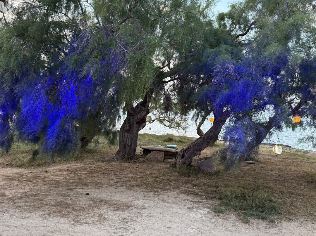 Son Serra de Marina Beach-Son Serra de Marina必去景点