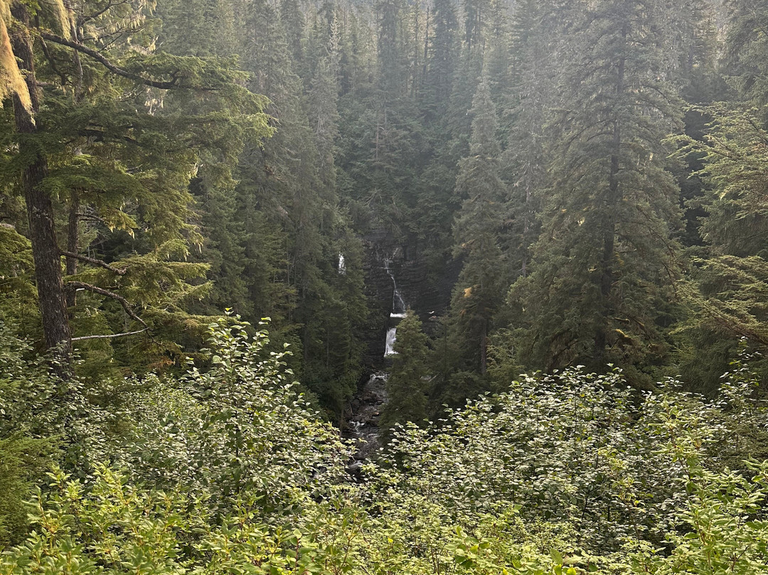 Glacier Bay's Bear Track Inn主图