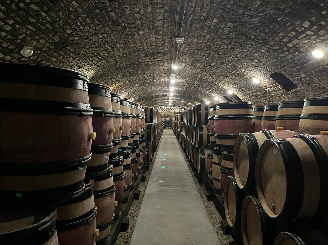 Caveau Moillard-夜圣乔治必去景点