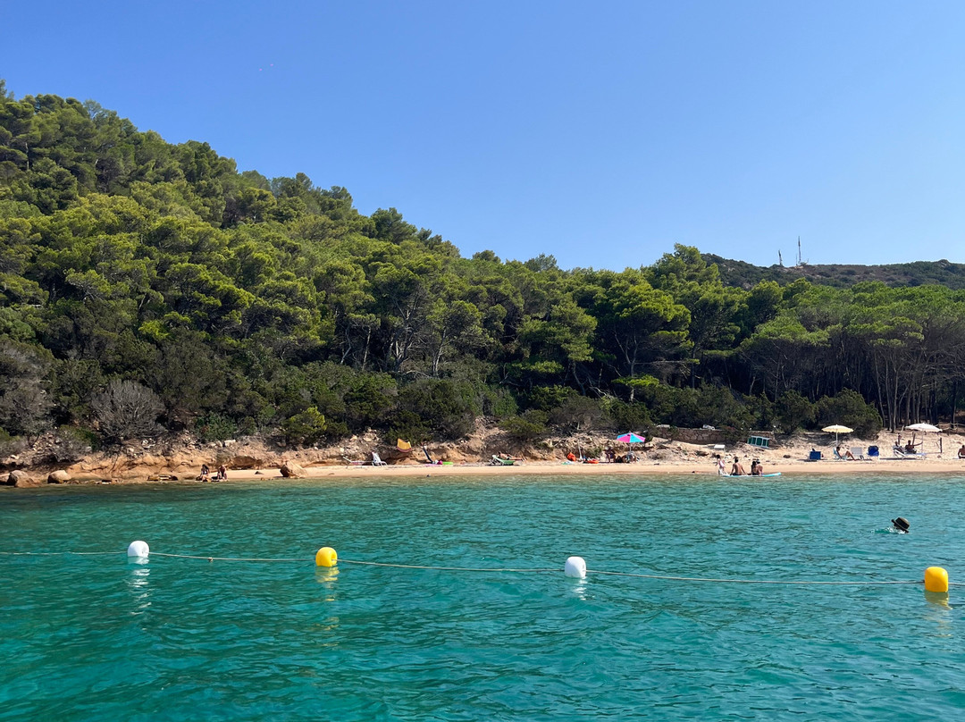 Karibu Diving & Travel-San Teodoro必去景点