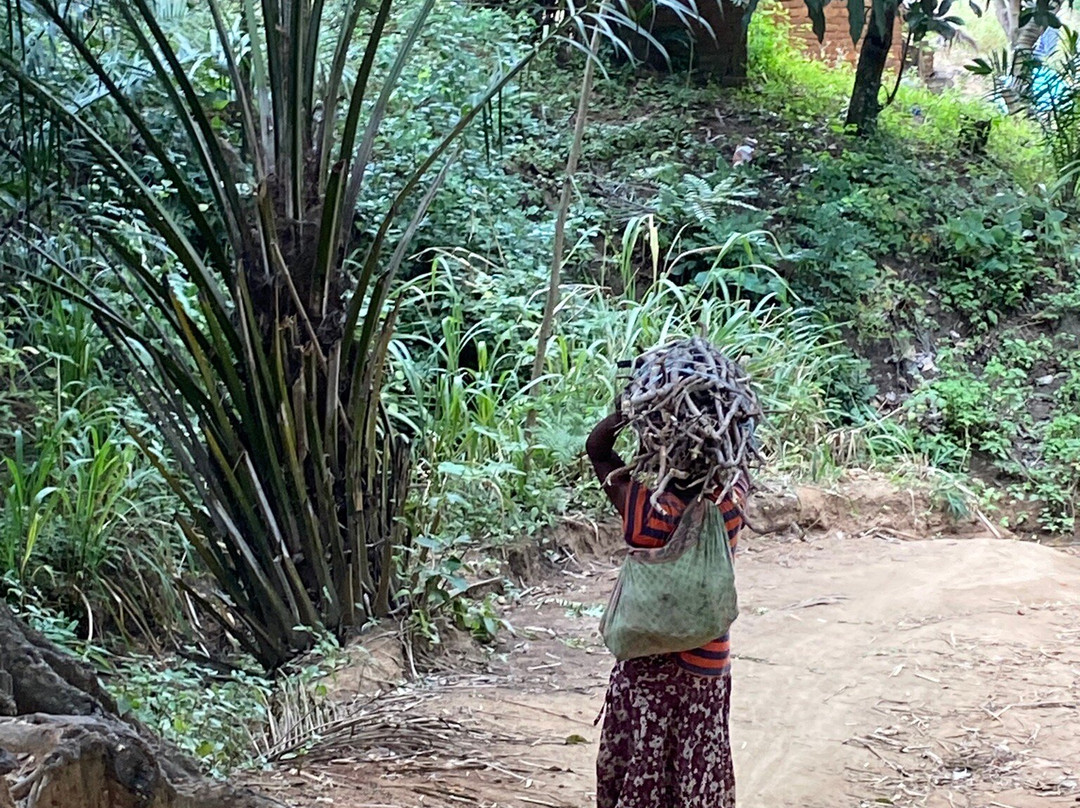 Chizua Waterfalls  Mikumi National Park-米库米国家公园必去景点