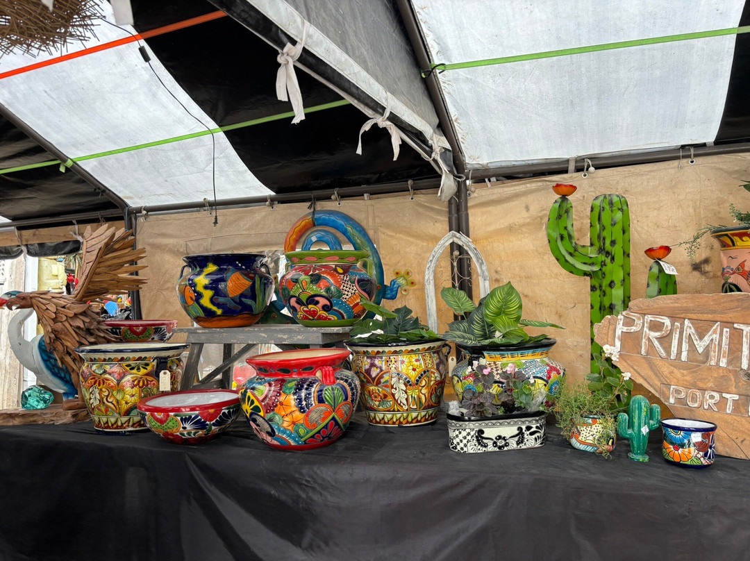 Primitive Designs-Port Hope必去景点