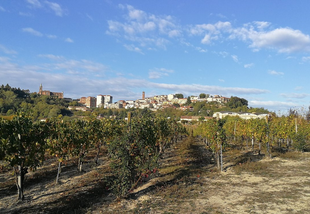 Cioccaro di Penango酒店住宿-SPINEROLA Hotel Nidum, Restaurant Godezia, Spa Arborea