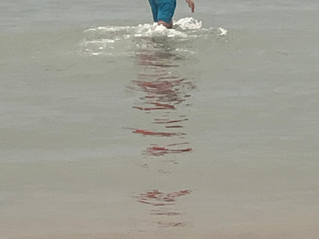 Plage-La Faute sur Mer必去景点