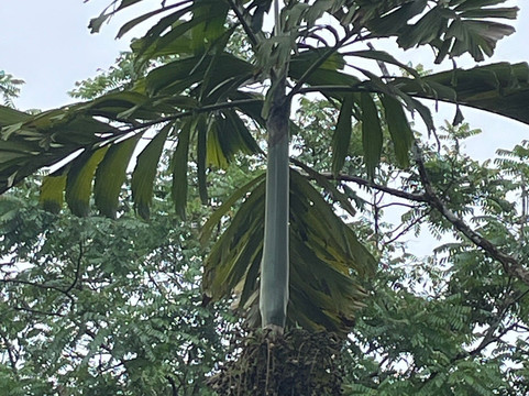 Colombia Infinita-波哥大必去景点