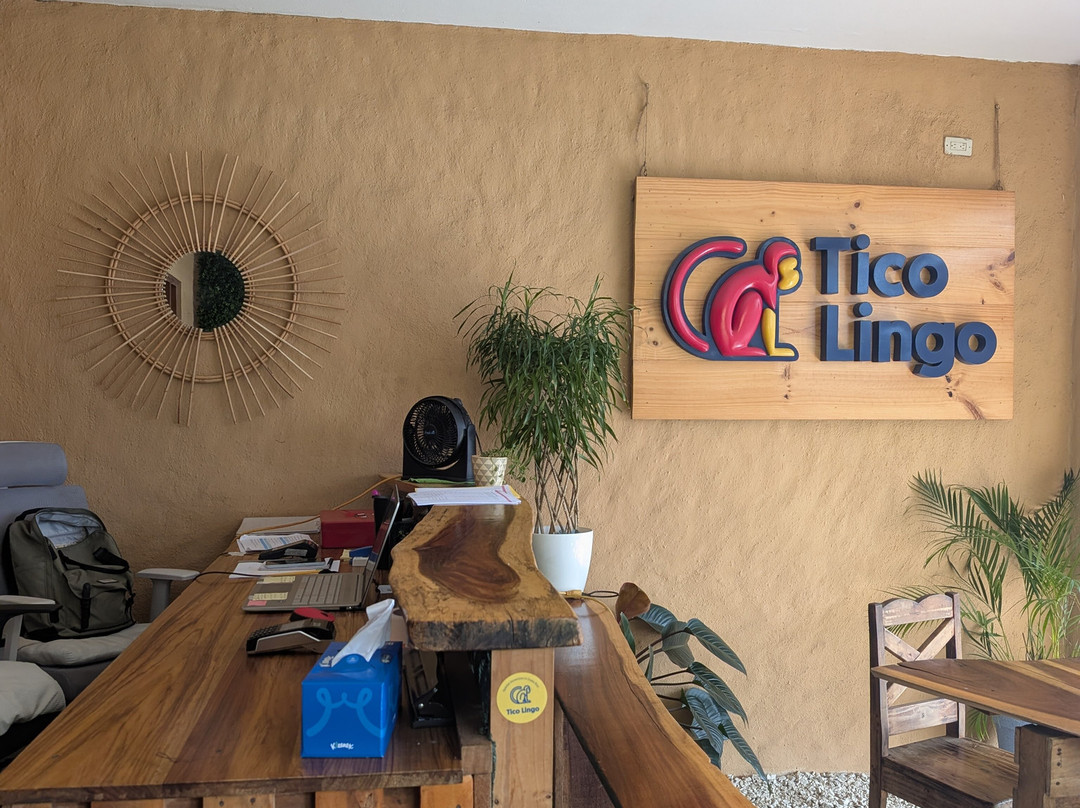 Tico Lingo-爱雷迪雅必去景点