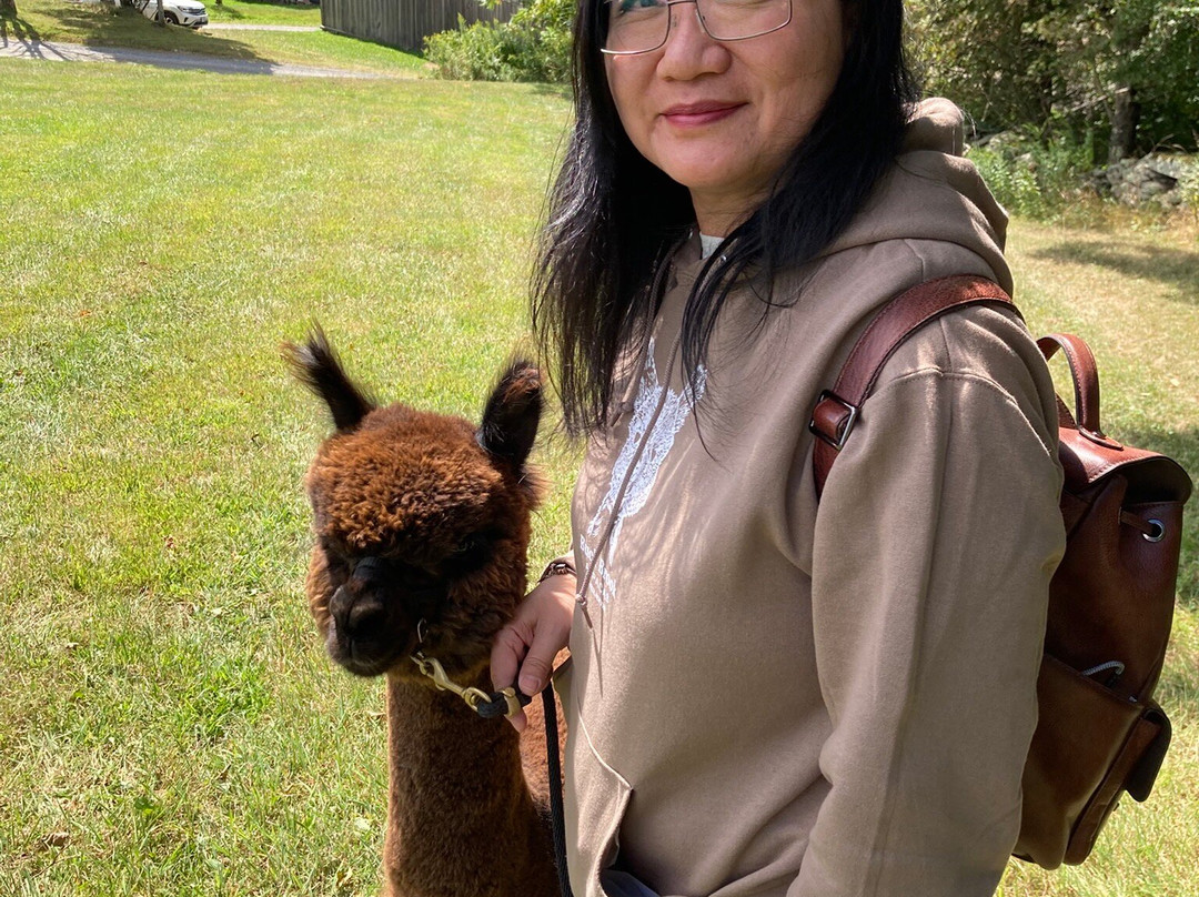 Buck Brook Alpacas-Roscoe必去景点
