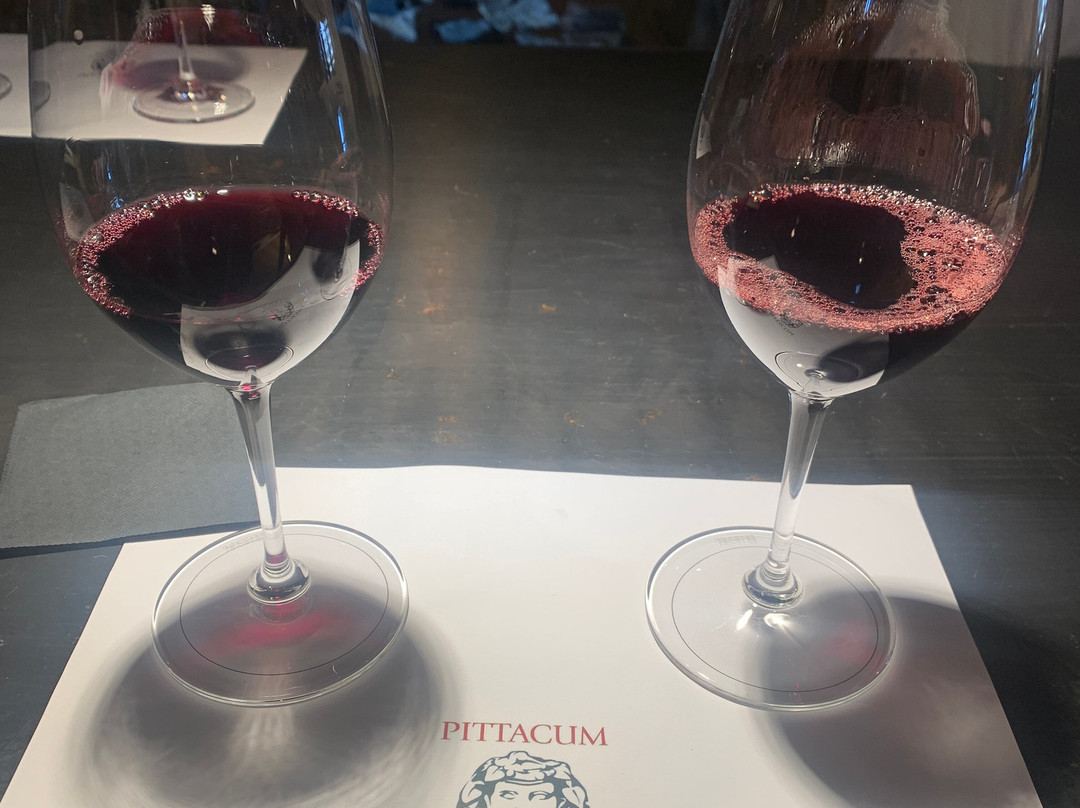 Bodegas Pittacum-Arganza必去景点