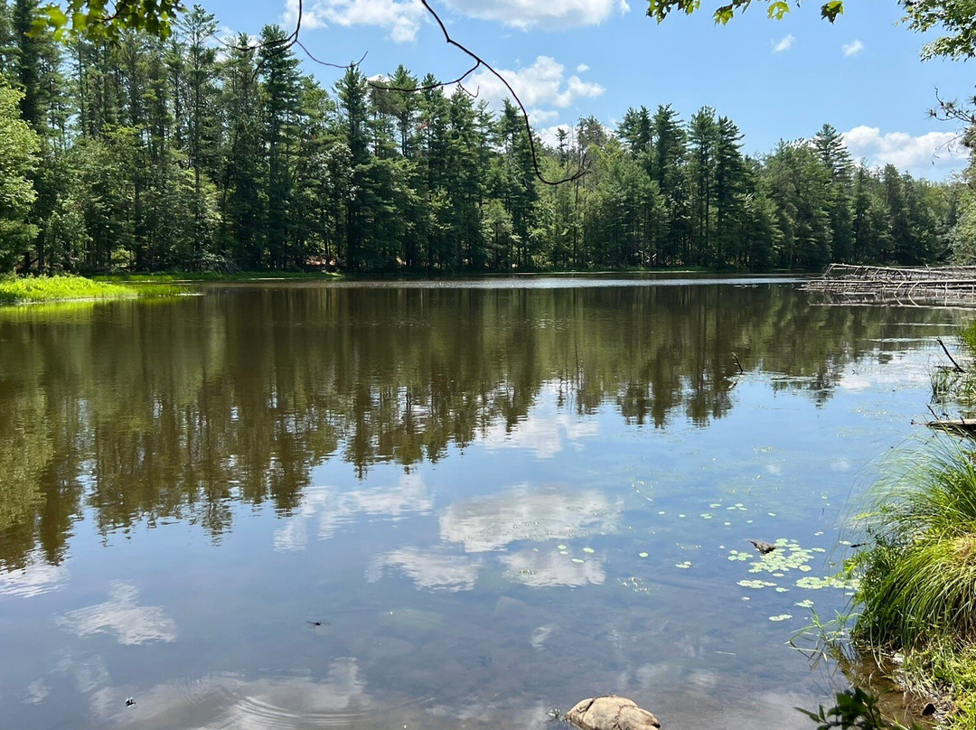 Delaware Water Gap National Recreation Area-Delaware Water Gap必去景点