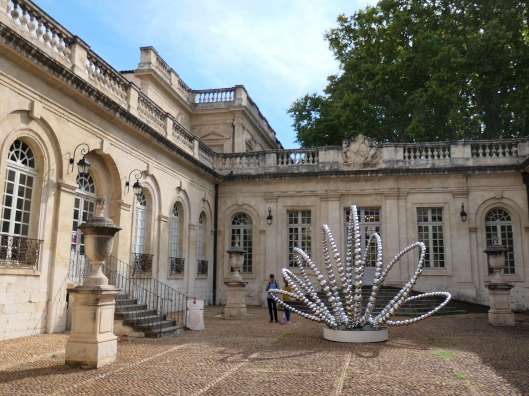 卡维博物馆-阿维尼翁必去景点