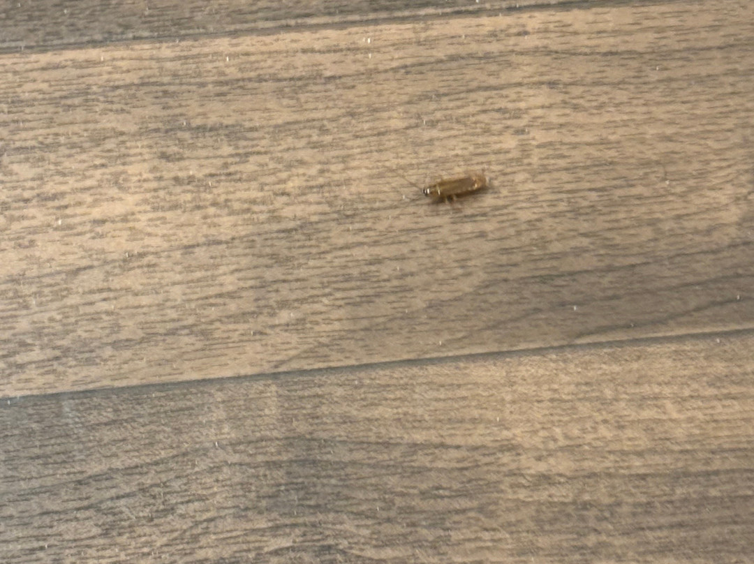 Extended Stay America - Los Angeles - Simi Valley主图