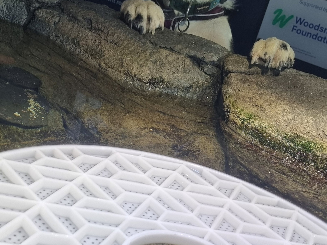 Marine Discovery Centre & Whitby Lobster Hatchery-惠特比必去景点