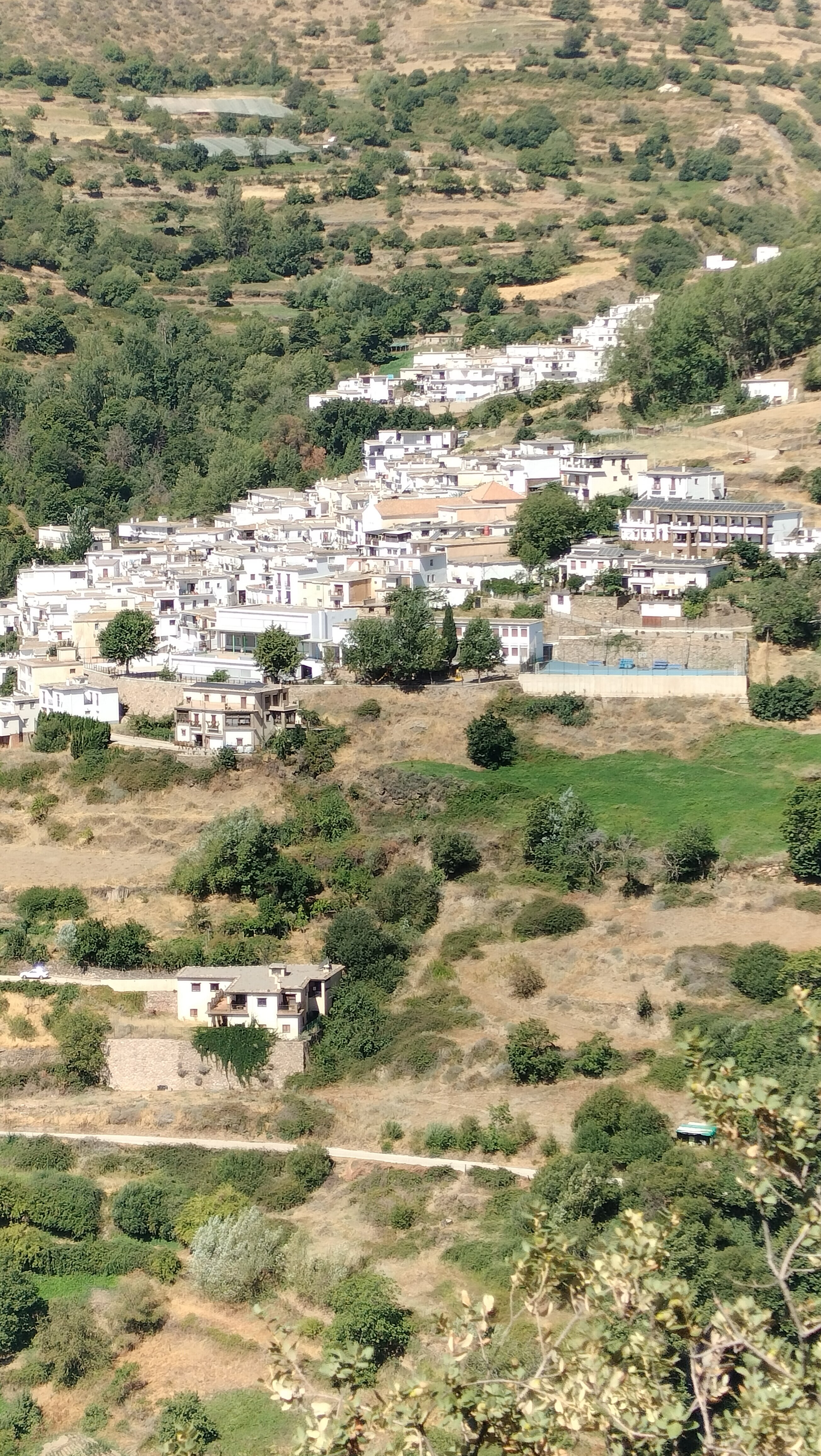 Hotel La Fragua II-官方