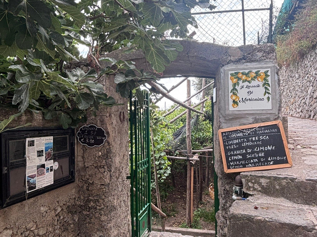 Sentiero dei Limoni-马奥莱必去景点
