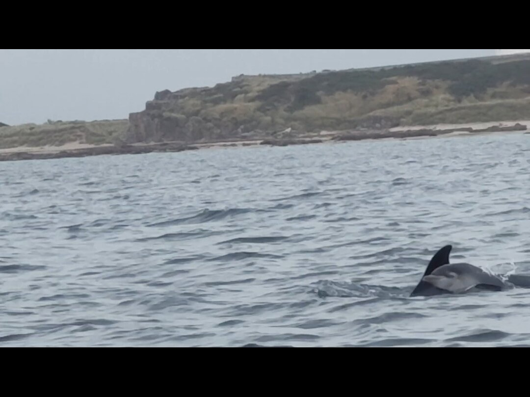 North 58 Sea Adventures-Lossiemouth必去景点