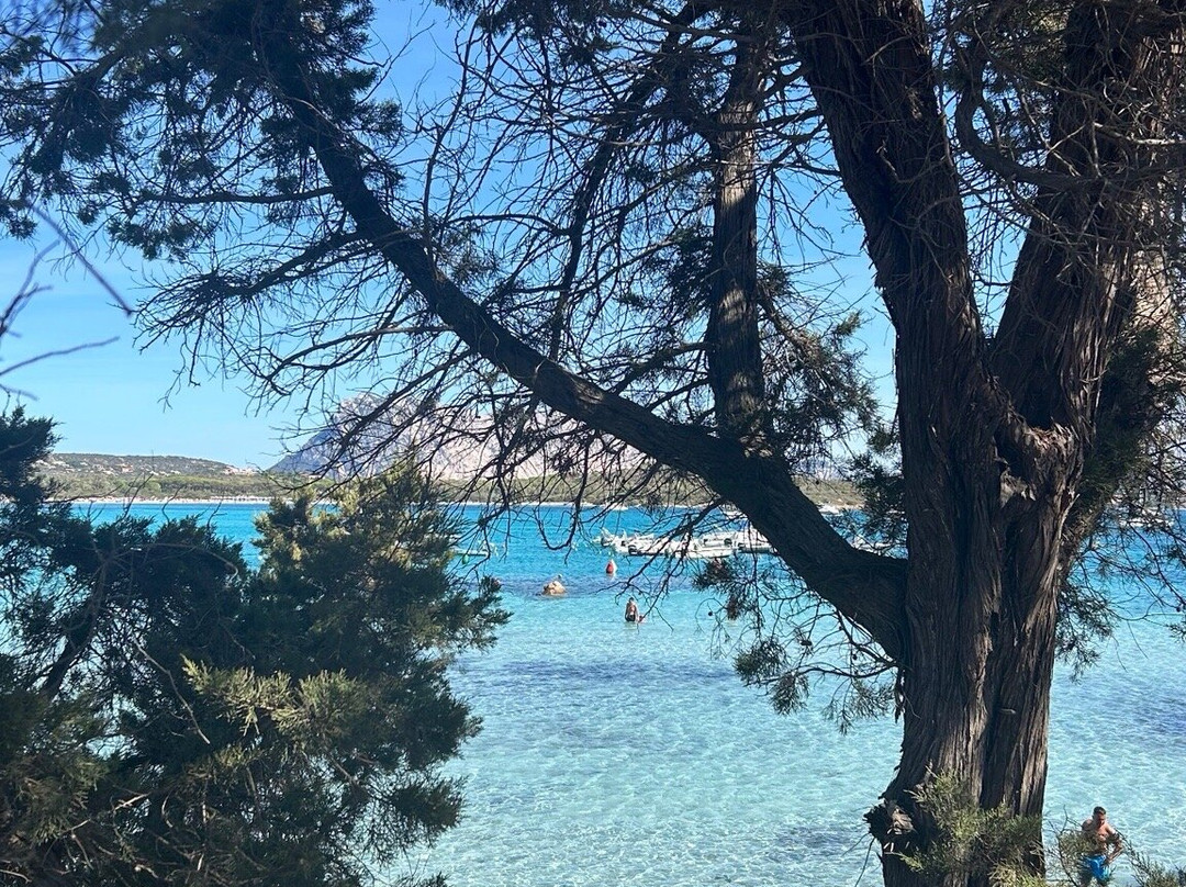 Spiaggia di Lu Impostu-San Teodoro必去景点