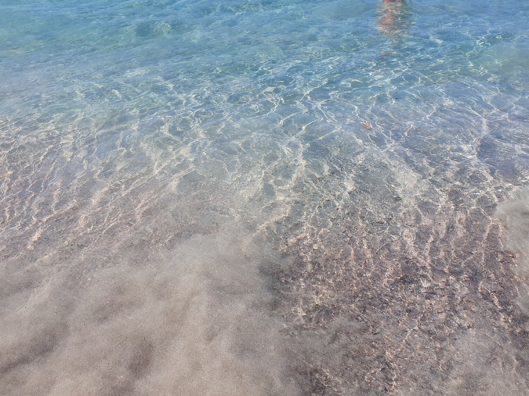 Playa de Son Bou-阿拉约尔必去景点