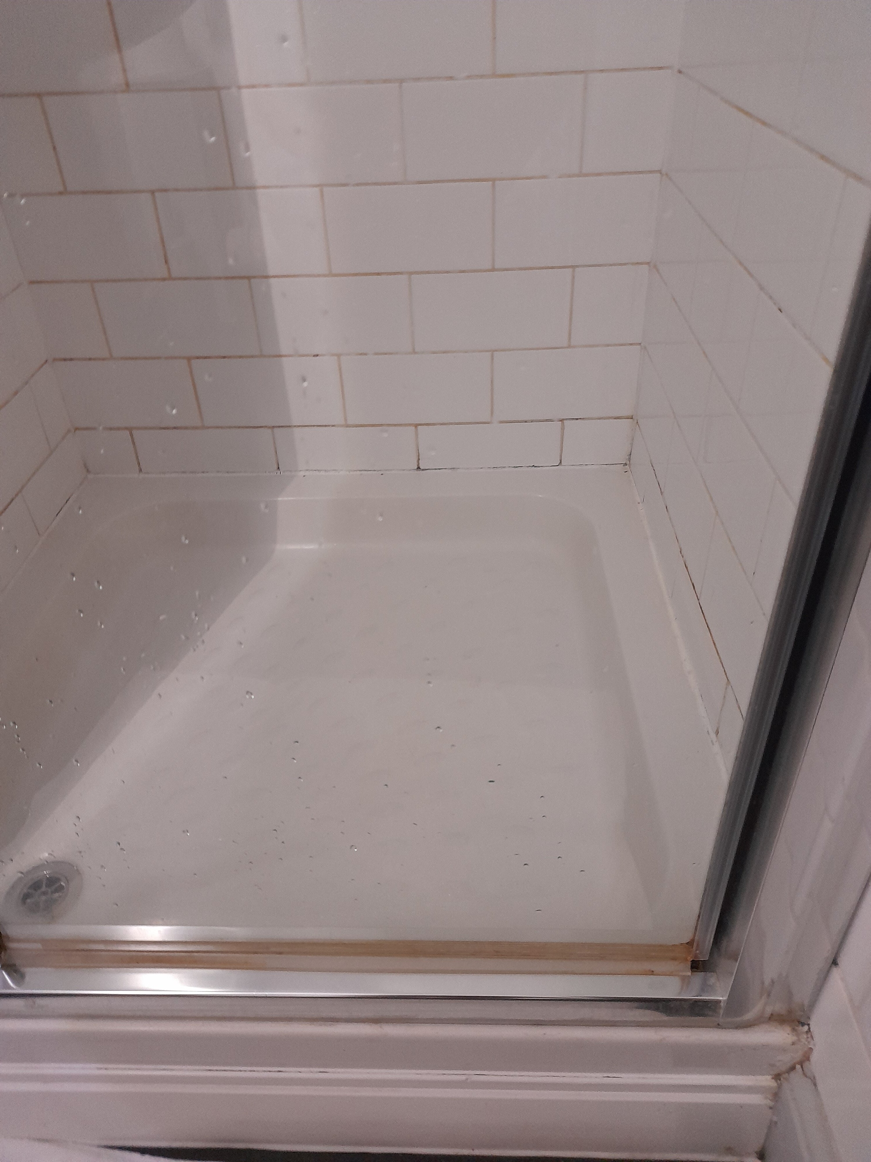 The Queens Head-官方