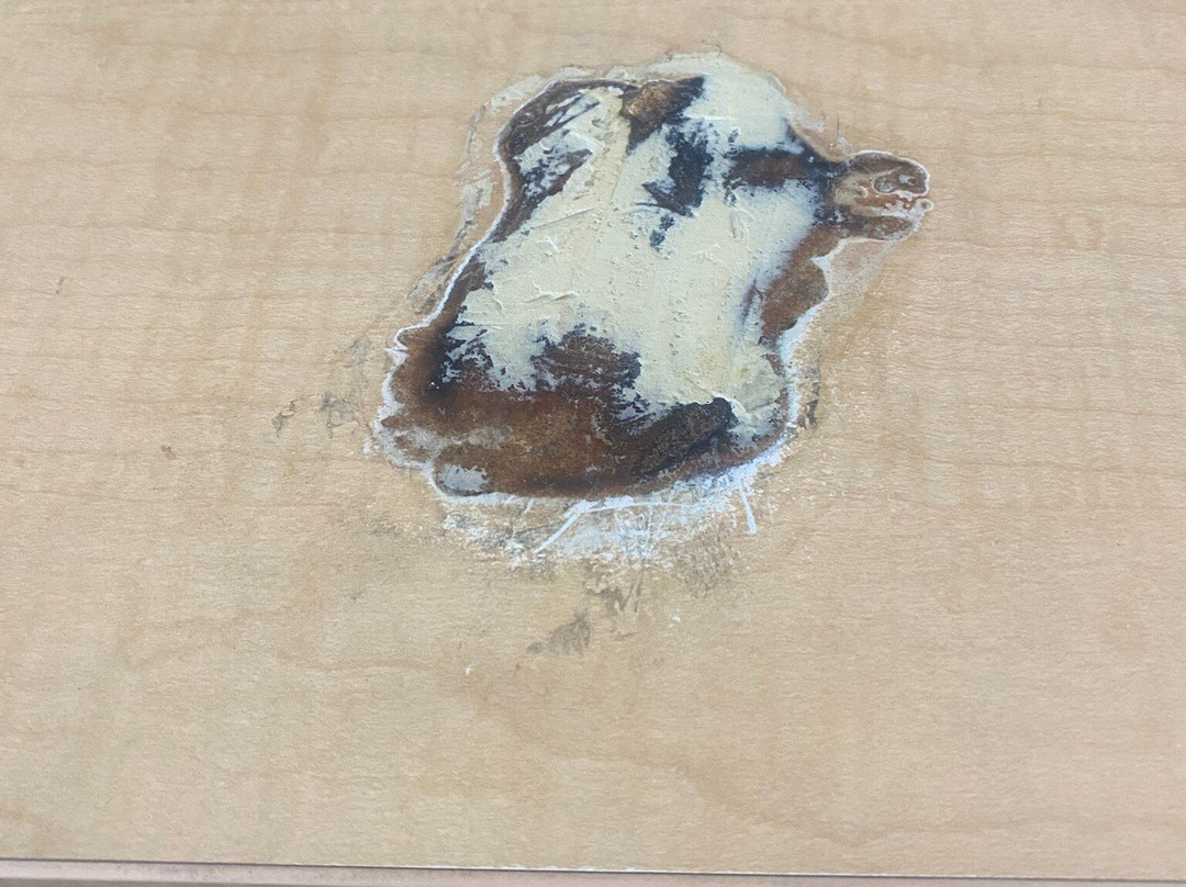 Candlewood Suites Fargo South - Medical Center by IHG主图