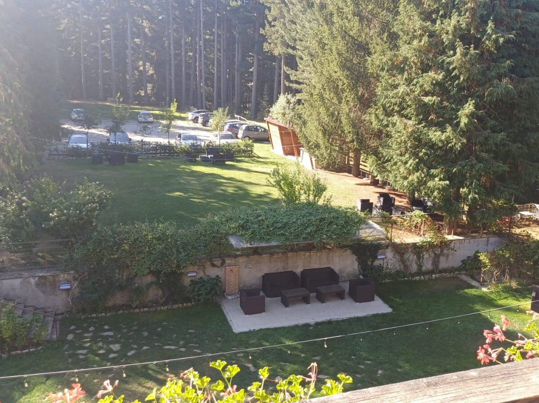 Parco dei Pini - Sila Wellness Hotel主图