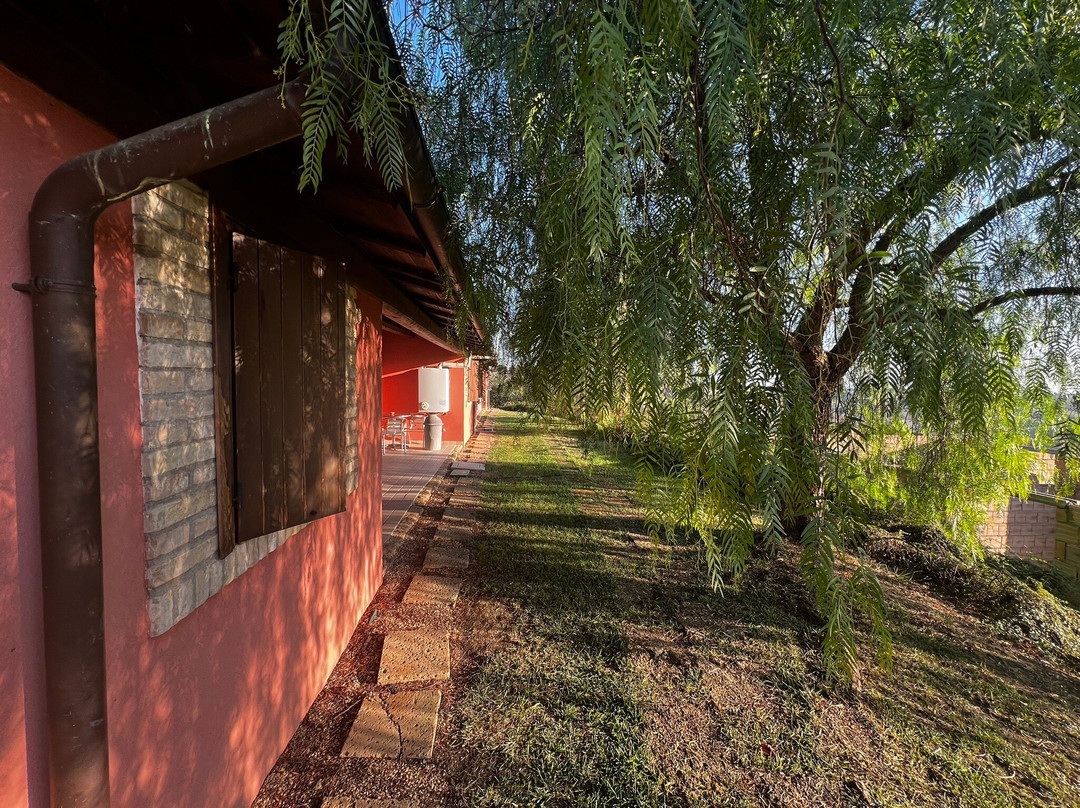 Agriturismo Il Borgo Degli Ulivi主图