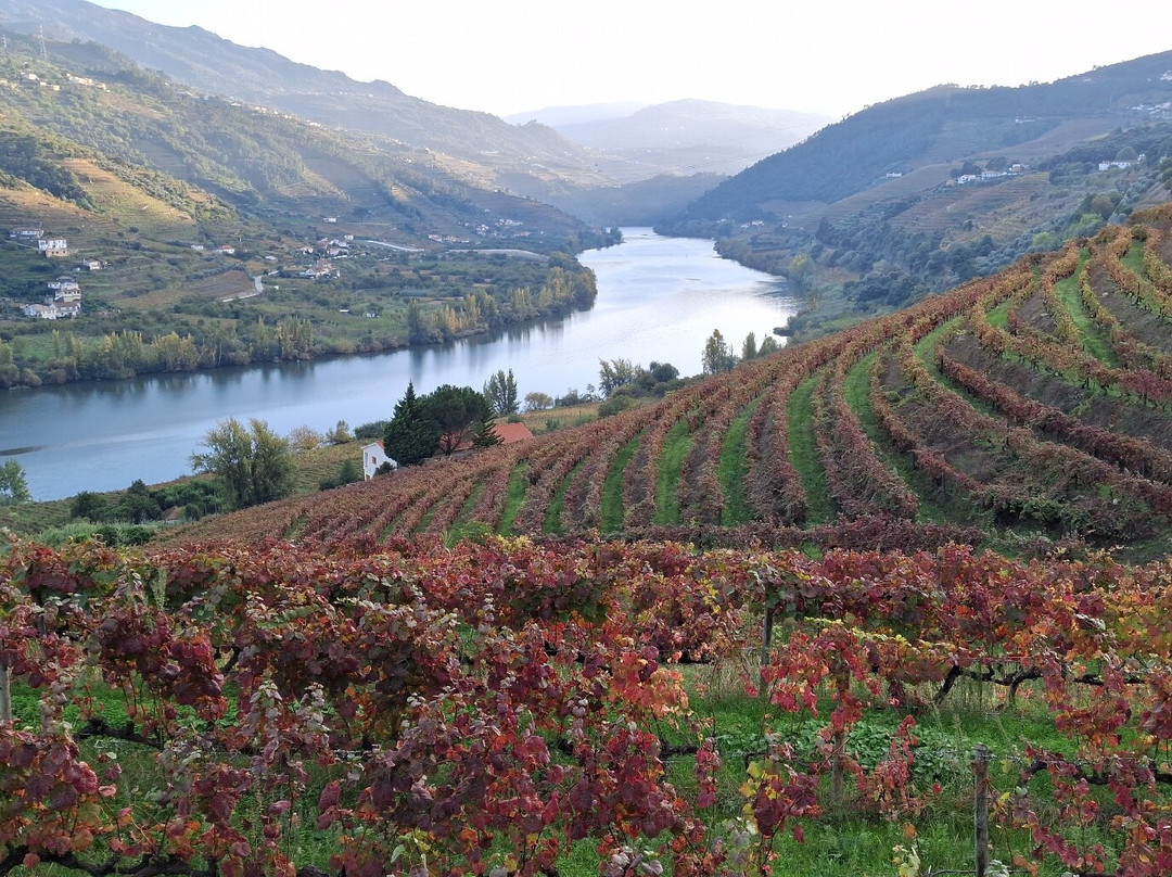 Quinta Da Rede-Mesao Frio必去景点