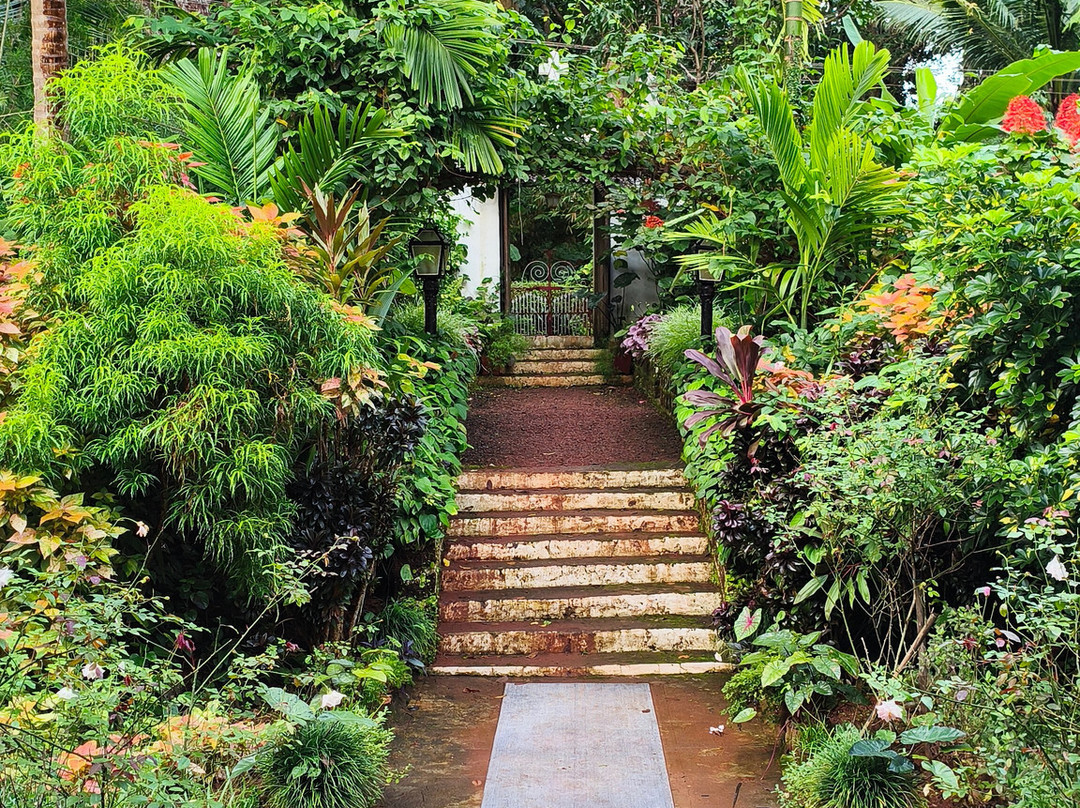 坎西奥宾馆主图