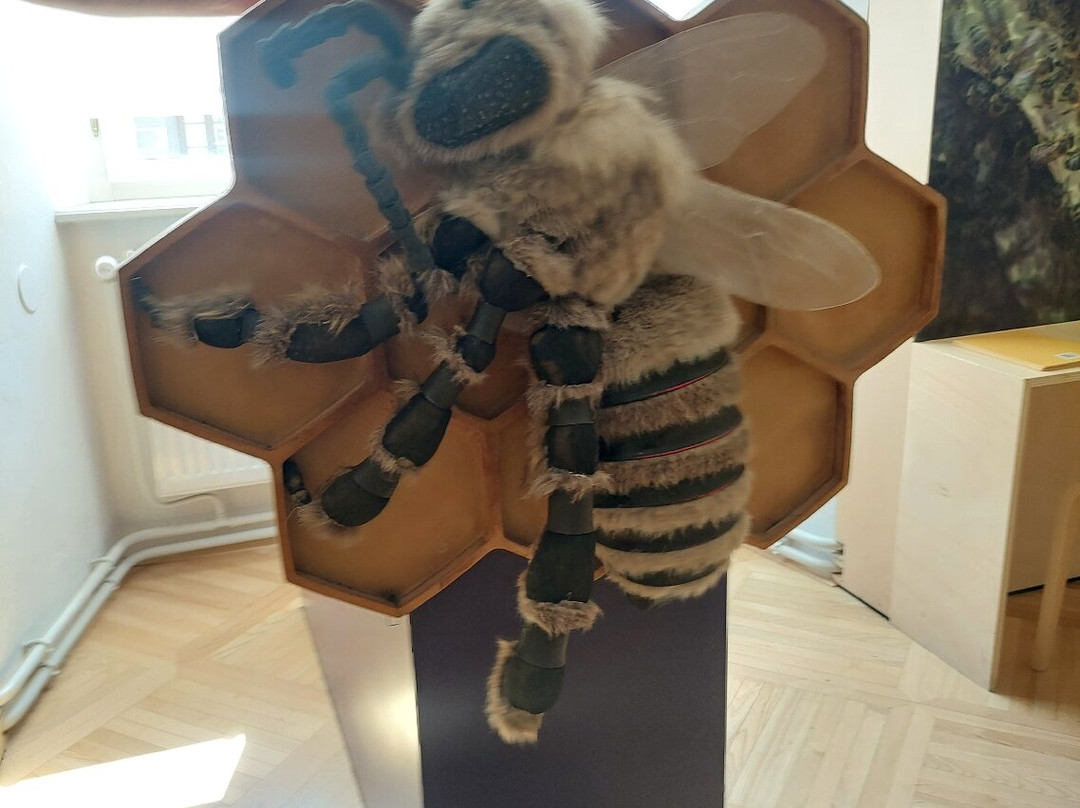 Beekeeping Museum (Cebelarski Muzej)-Radovljica必去景点
