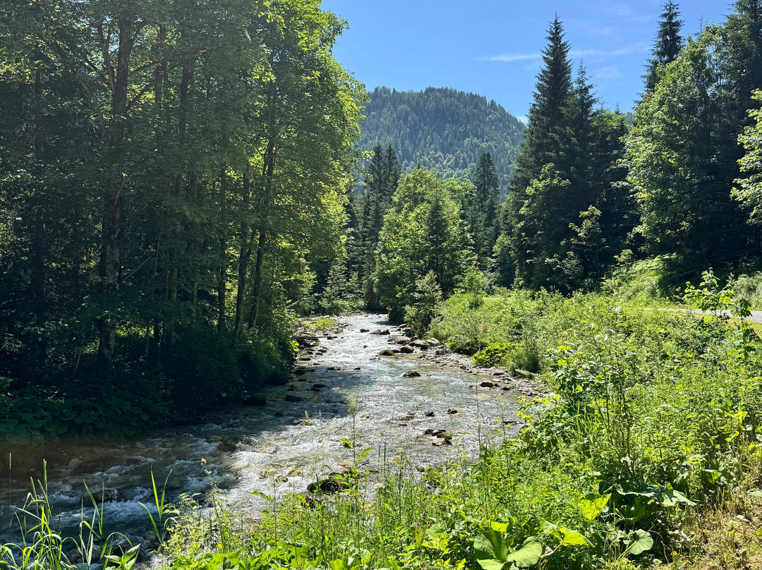 格斯族泊斯特费瑞酒店主图