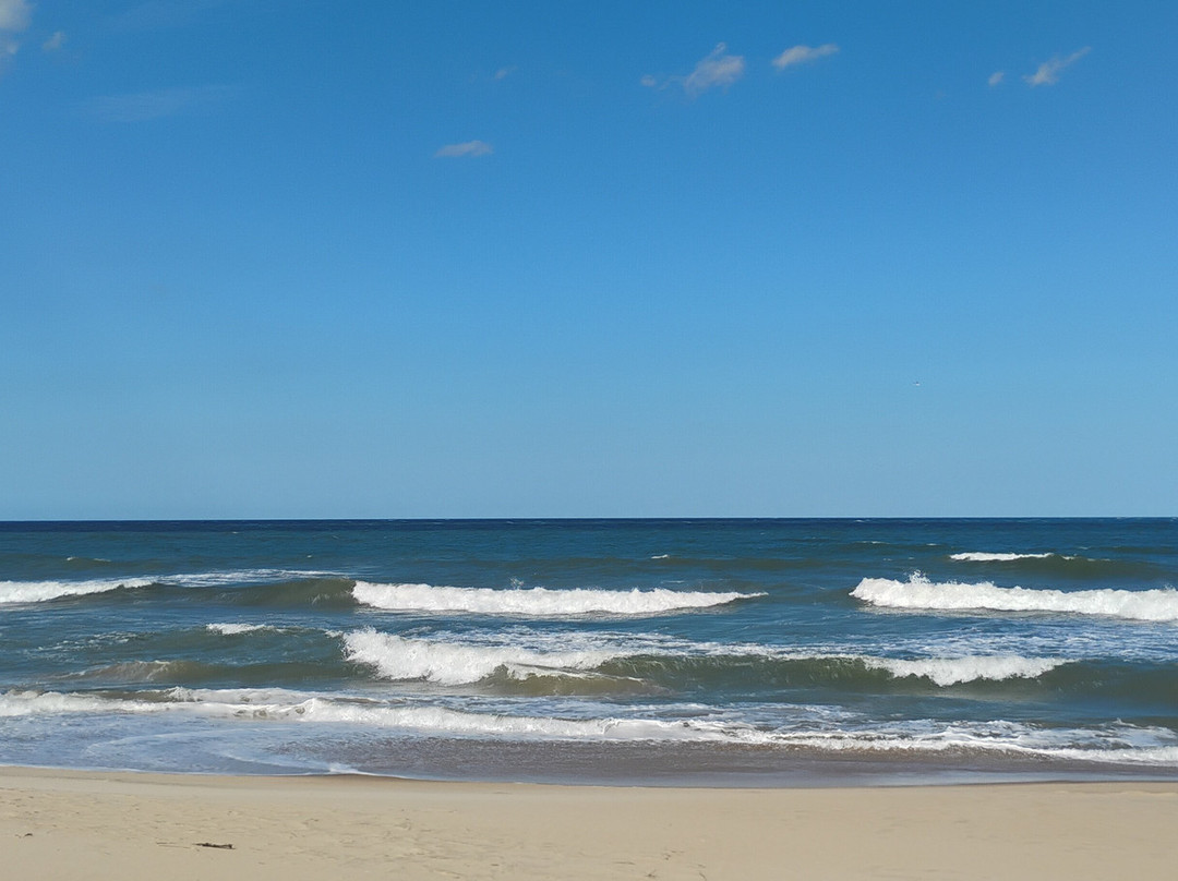 弗吉尼亚海滩-弗吉尼亚海滩必去景点