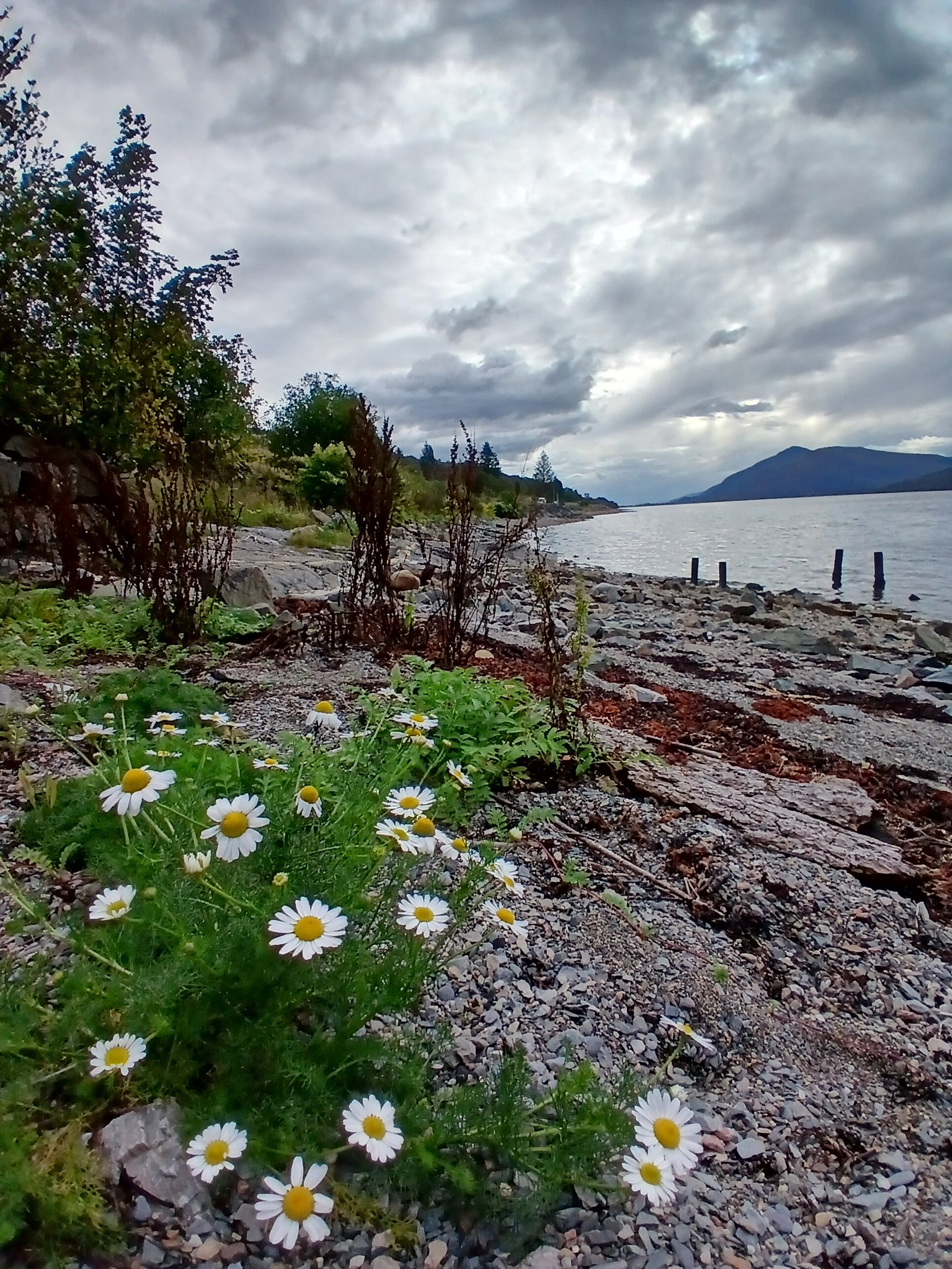 克兰麦克达福酒店-浴室