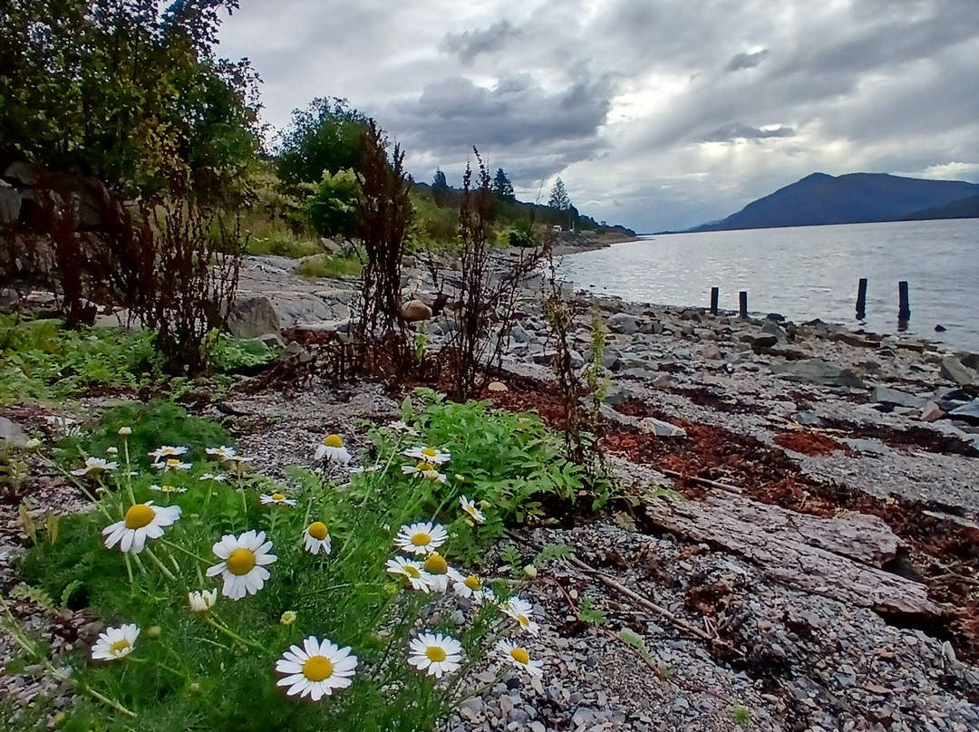 克兰麦克达福酒店主图