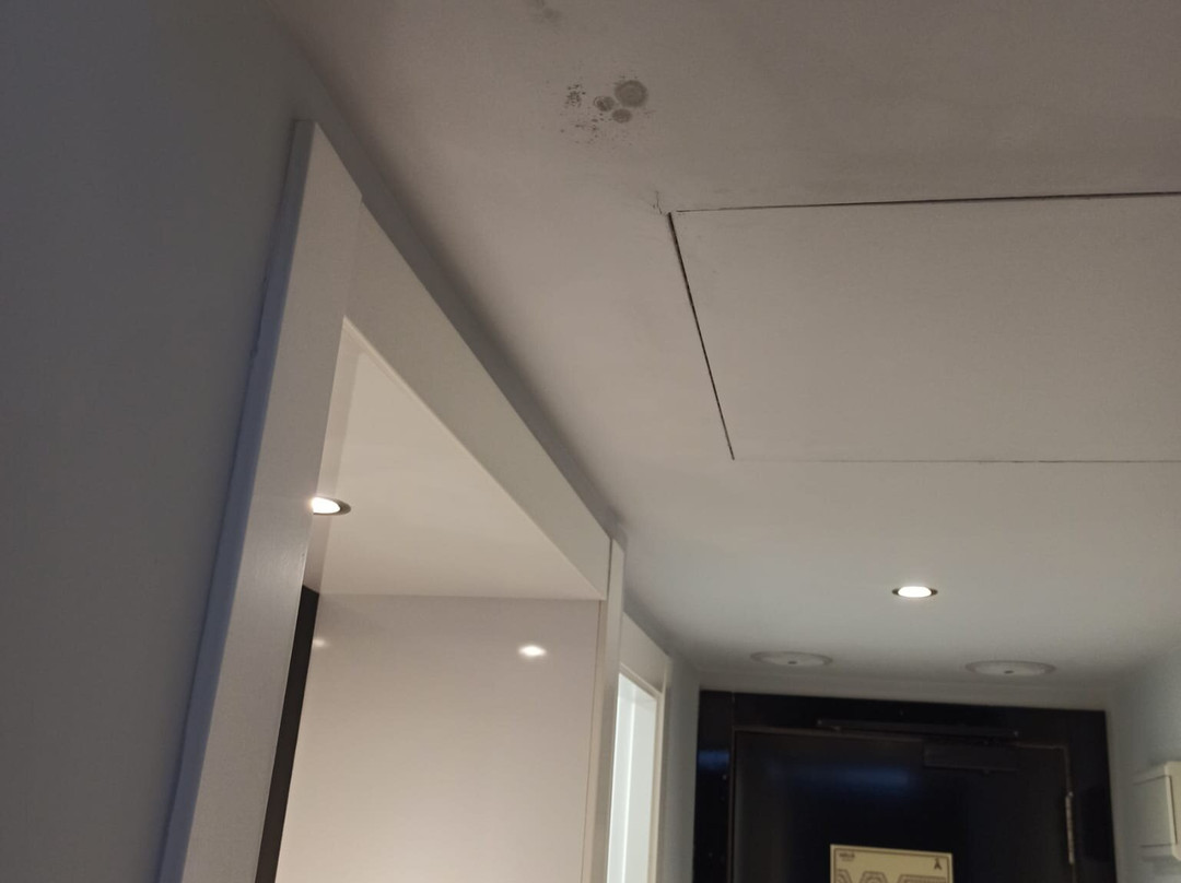 阿利坎特美利亚酒店主图