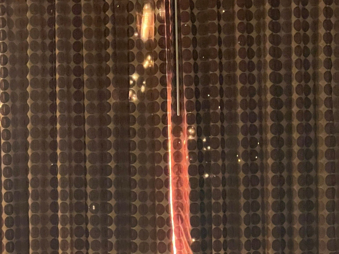 La Quinta Inn & Suites by Wyndham Houston - Magnolia主图