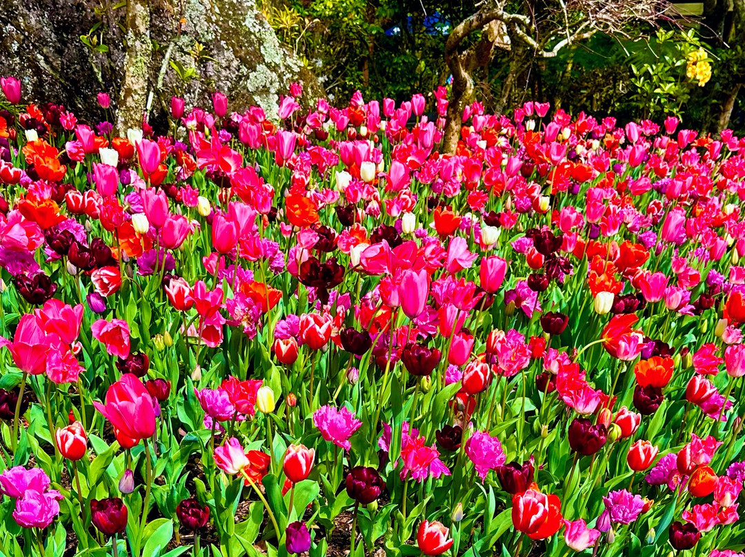 Eden Garden-埃普索姆必去景点