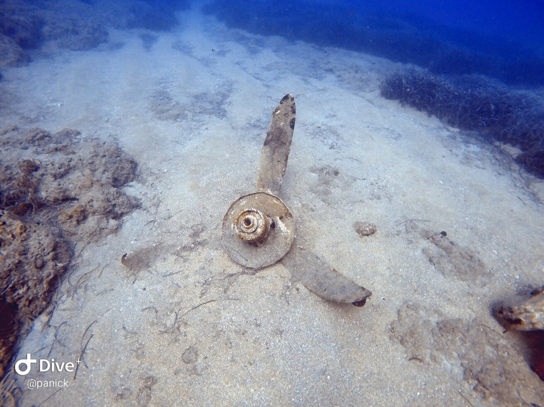 Heraklion Diving Center-赫索尼索斯必去景点