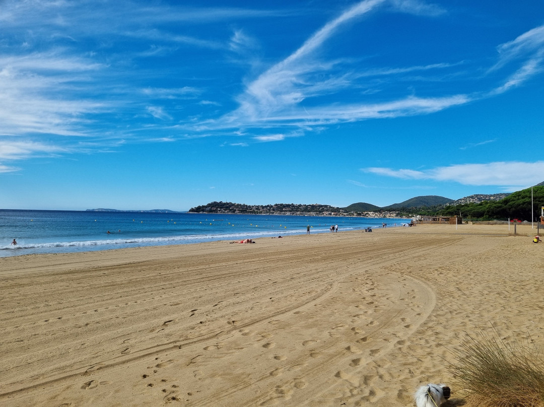 Plage de Pardigon-Cavalaire-Sur-Mer必去景点
